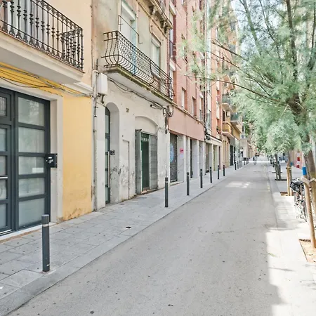 Alcam Loft Grassot *