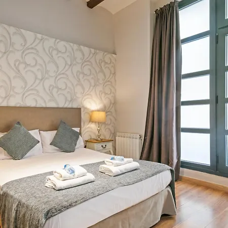 Alcam Loft Grassot Apartament